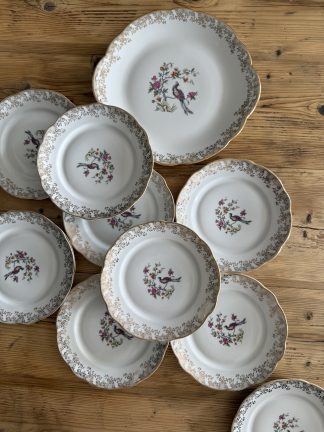 Conjunto Gâteau