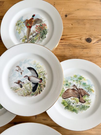 Conjunto Platos Caza - Imagen 3