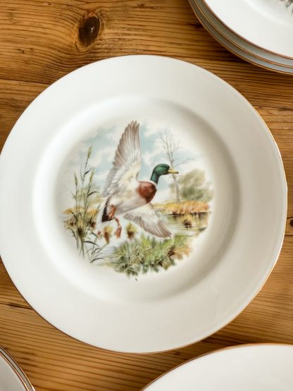 Conjunto Platos Caza - Imagen 5