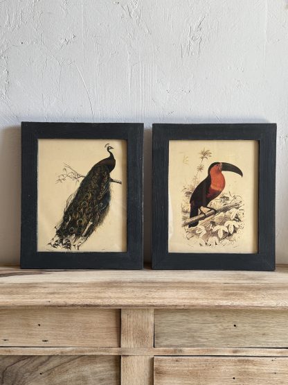 Pareja cuadros aves - Imagen 2
