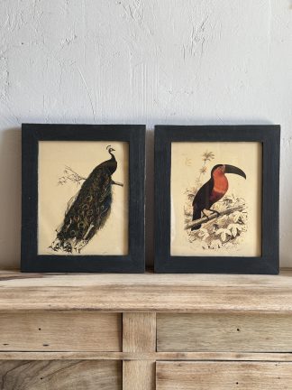 Pareja cuadros aves