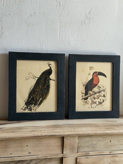 Pareja cuadros aves - Imagen 5