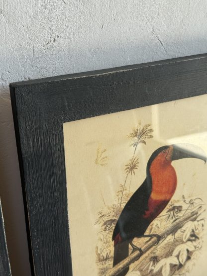 Pareja cuadros aves - Imagen 3