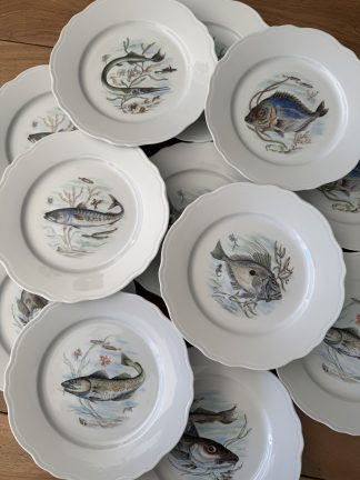Platos de Porcelana Peces