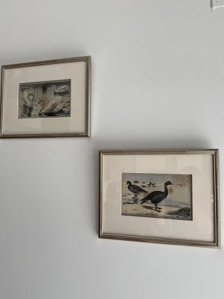 Pareja de Cuadros Aves
